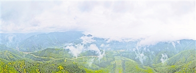     清晨，薄霧籠罩六盤山。