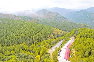     位于六盤山國(guó)家森林公園內(nèi)的王化南護(hù)林點(diǎn)。
